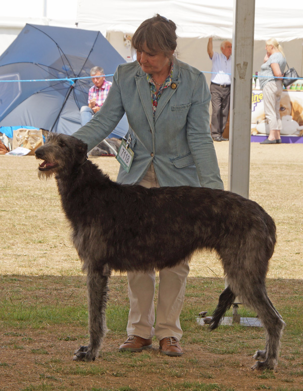 Foxcliffe Classic Liberty Freedom at Beardswood